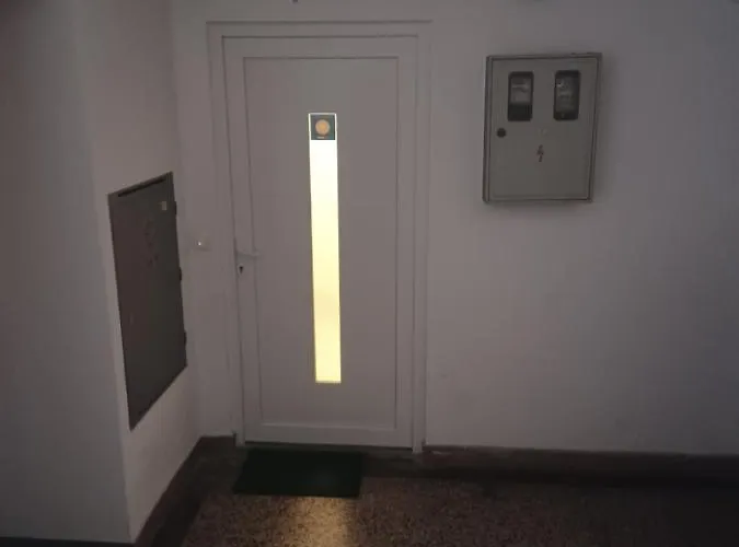 Hajdo Centar * רייקה